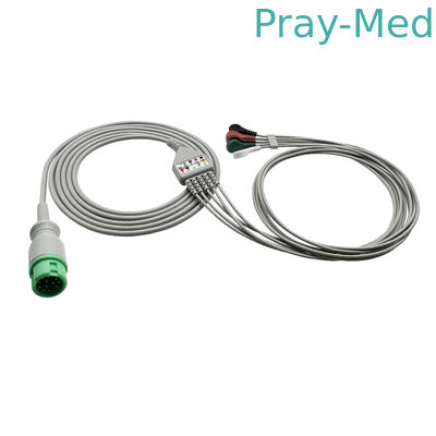 acheter Mindray / Edan / Goldway ECG câble de tronc avec des fils au plomb 12 broches coupure 12 mois de garantie fabrication en ligne