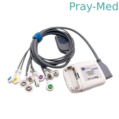 acheter Gris d'avance de Borsam Holter Ecg Cable 10 2m compatibles pour Bs6930 BS6930-3 fabrication en ligne