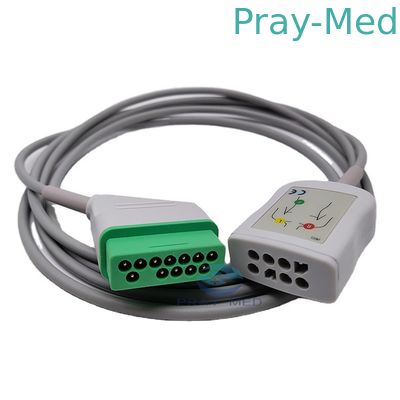 acheter Câble de tronc de la borne 2.4m JC 906P ECG de Nihon Kohden 12 pour pédiatrique adulte fabrication en ligne